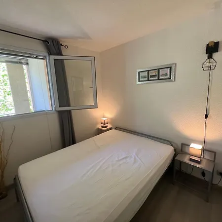 公寓 Antinea Joli T2 Piscine Proche Richelieu Cap D'agde 阿格德